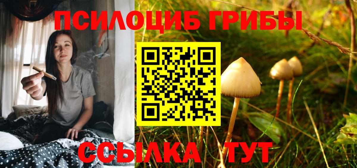 Псилоцибиновые грибы Psilocybine cubensis  Псилоцибиновые грибы Cubensis  Вход с VPN  что такое   Сердобск 