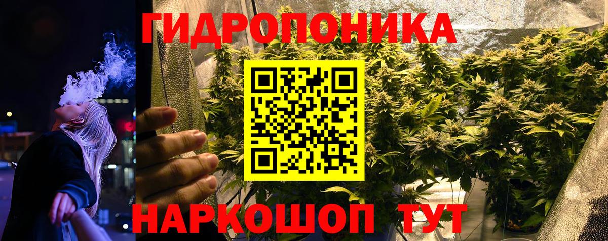 Конопля семена  Вход с VPN  Бошки марихуана марихуана  Сердобск 